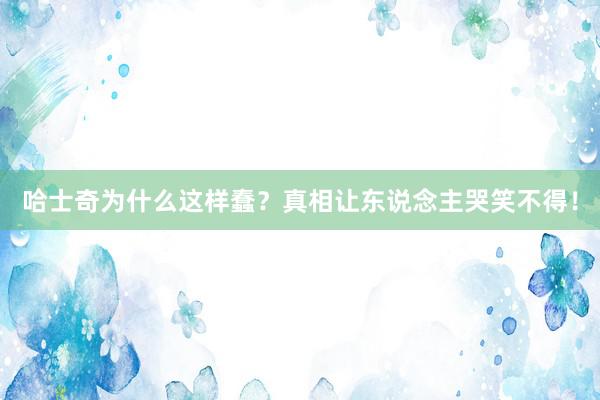 哈士奇为什么这样蠢？真相让东说念主哭笑不得！